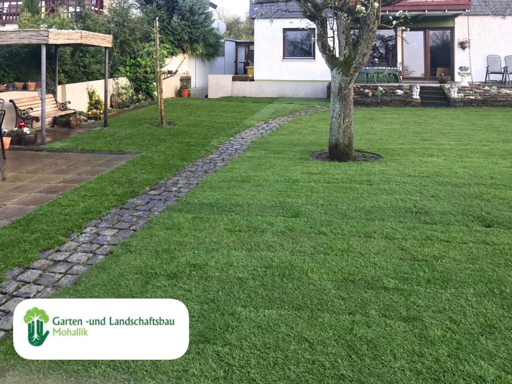 Rollrasen Gartengestaltung Mohallik Troisdorf